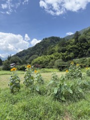 ヴァイオリン協奏曲