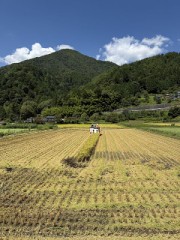 わが家の稲刈り、終了しました。