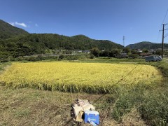 ２割７分６厘という数字