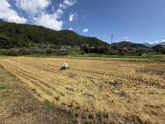 来年の稲作への作業（第１弾）