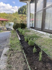 ラベンダー畑に一歩近づけるかな？