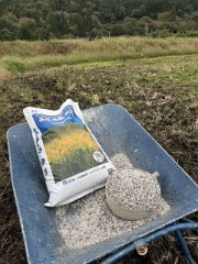 寒くなりましたね