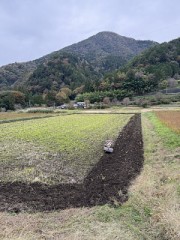 今年最後の田んぼの作業