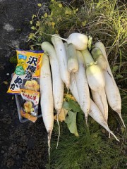 重石は重いほどよい！