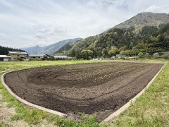 今年もまたこの作業