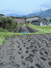 今年は保存に細心の注意を！