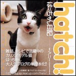 今日もはっちゃん