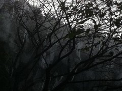 恋人が欲しい・・・