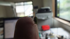 小さな赤ちゃん