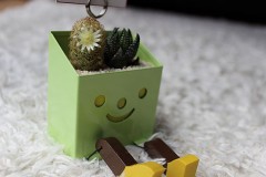 夢が現実になる