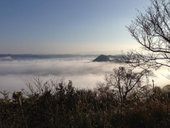 去年の１２月の出来事でした。