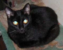 土砂降りの休日