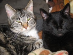 今日から休みをとって・・・