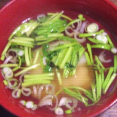 餅食べて寝た(-_-)zzz