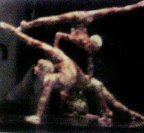 台風は逸れてます