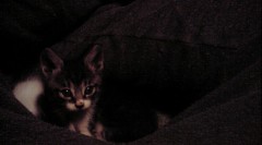 眠り続けてしまいました。