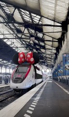 インジゲーター