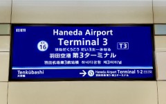 すっかり春本番！