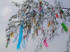 【お題日記】七夕飾りの写真を投稿しよう！