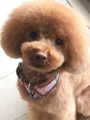 【お題日記】一番落ち着く場所はどこ？