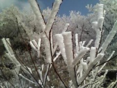 少しお出掛けしてきました。