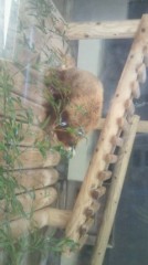 【これでも日記】GY に撮った一枚を見せて!