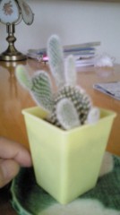 宇宙からの侵略者?!