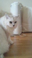 レオお疲れ様でした!