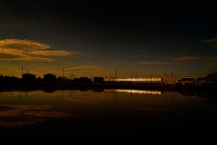 遺伝　その６　解説　「きちがい」　って。