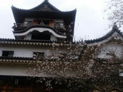 吉本興業の100円ギャラ