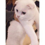 【お題日記】エロゲーしたことある？