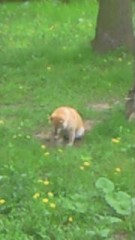 【お題日記】あなたがバレンタインに欲しいものは？