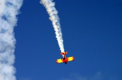 体調崩しましたが