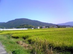 天理ポタ