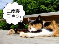 【お題日記】これからHなことしますか？