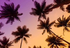 【お題日記】いつか住みたいと思う所