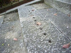 【お題日記】心に残っている名言