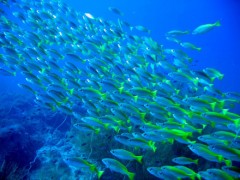 【お題日記】何度でも行きたくなる場所