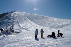 【お題日記】これって私だけ？と思うこと