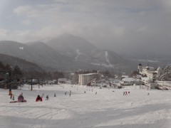 【お題日記】夕刊って取ってる？