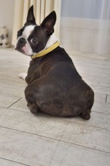 【お題日記】お相手の家族とは仲良くなれるほう？