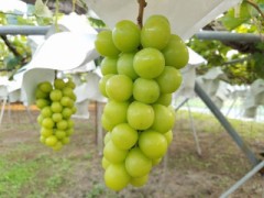 【お題日記】どこが穴場？秋のデートスポット！