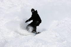 【お題日記】冬休みの予定はどう？