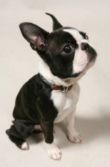 【お題日記】結婚に望むもの