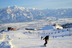【お題日記】今年スキーに行った？