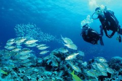 【お題日記】おうち時間の楽しみ方