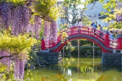 【お題日記】運命的な出会い