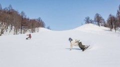 【お題日記】どこかGo to●●の予定ある？