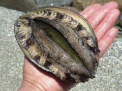 【お題日記】想像しちゃう食べ物