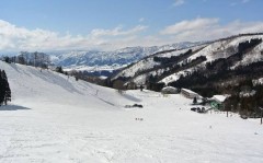 【お題日記】今年の冬休みの予定は？